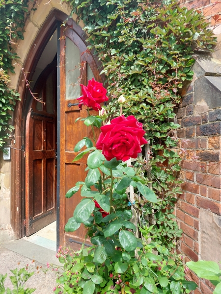 St Wilfrid's Community Garden